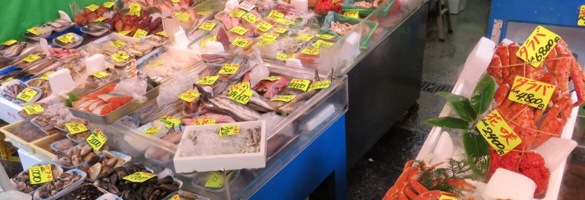 Tsukiji Outer Market