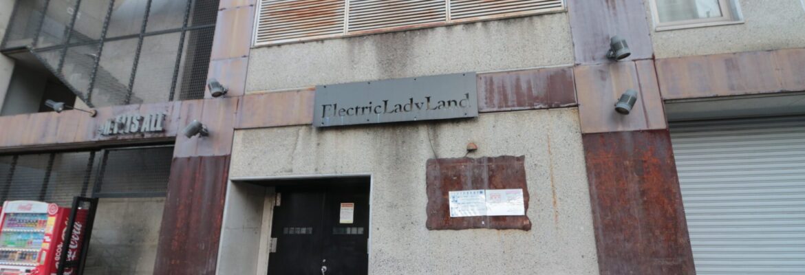 ElectricLadyLand