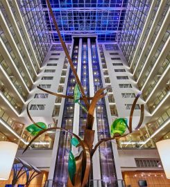 Hilton Frankfurt City Centre