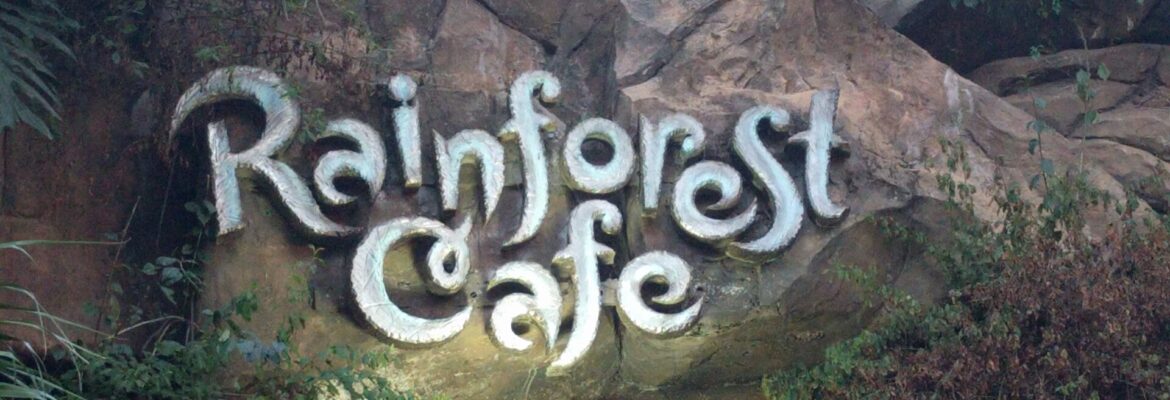 Rainforest Cafe at Disney’s Animal Kingdom