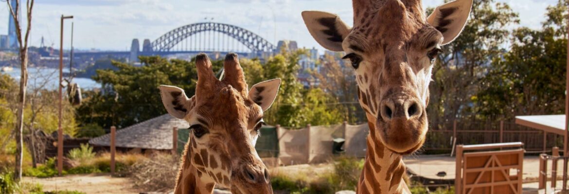 Taronga Zoo Sydney