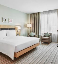 Hilton Garden Inn Dubai, Mall Avenue