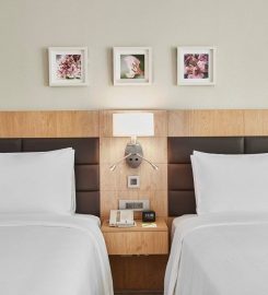 Hilton Garden Inn Dubai, Mall Avenue