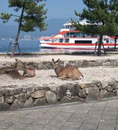Miyajima Island – Itsukushima shrine