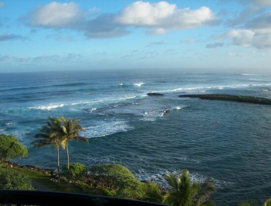 Turtle Bay Resort