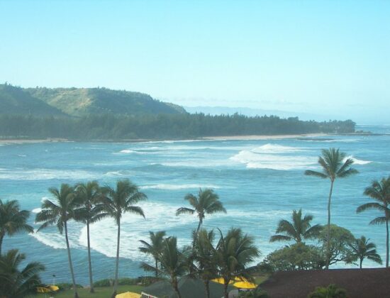 Turtle Bay Resort