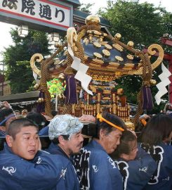 Asakusa Sanja Matsuri