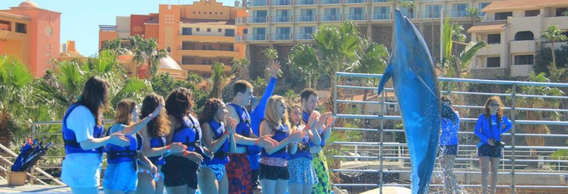 Cabo Adventures