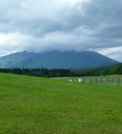 Koiwai Farm