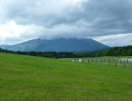 Koiwai Farm