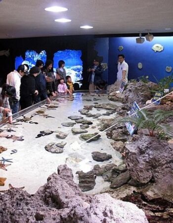 Okinawa Churaumi Aquarium