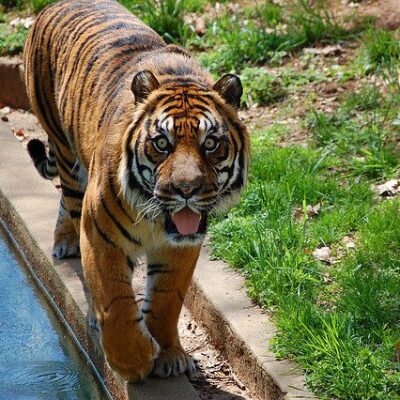 Smithsonian National Zoological Park