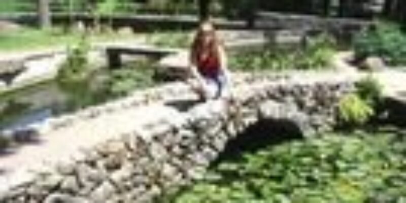 McNay Art Museum