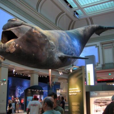 Smithsonian National Museum of Natural History