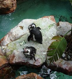 The Dallas World Aquarium