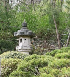 Japanese Tea Garden