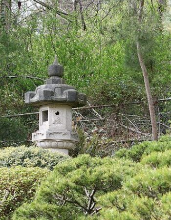 Japanese Tea Garden