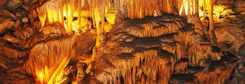 Mammoth Cave National Park