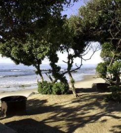 Carpinteria State Beaching