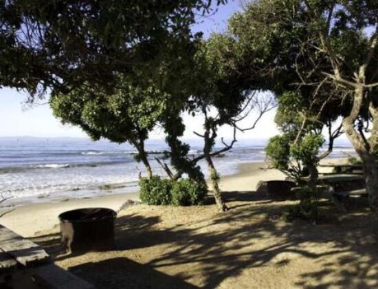 Carpinteria State Beaching