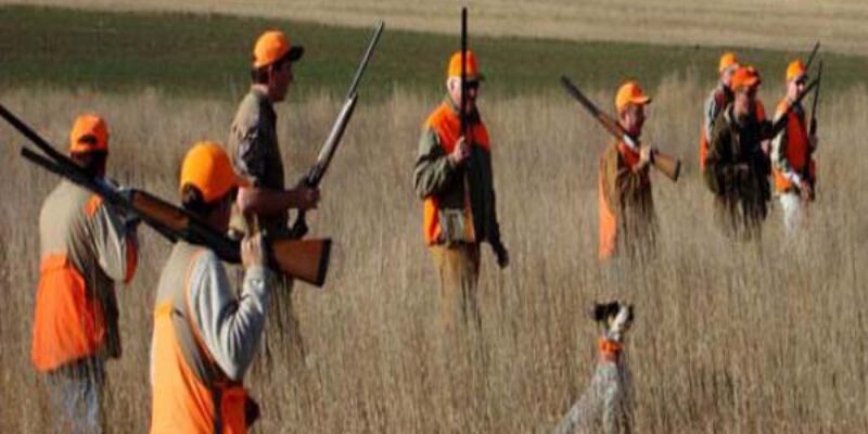 Cheap hunting Adventure