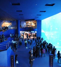 Okinawa Churaumi Aquarium