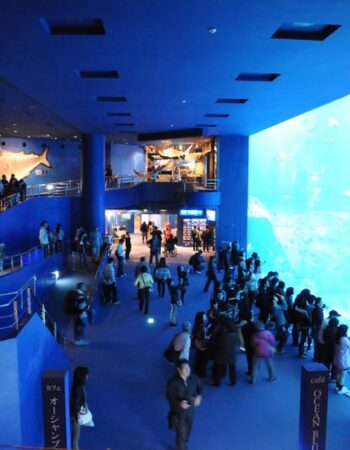 Okinawa Churaumi Aquarium