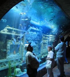 Downtown Aquarium