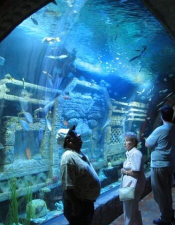 Downtown Aquarium