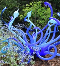 Chihuly Garden and Glass