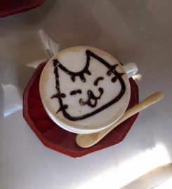 Nago Nago Cat Cafe