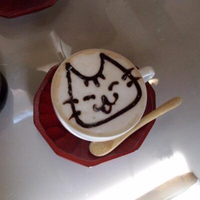 Nago Nago Cat Cafe
