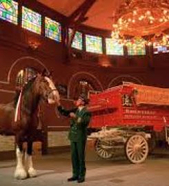 Anheuser-Busch Brewery Tours & Gifts