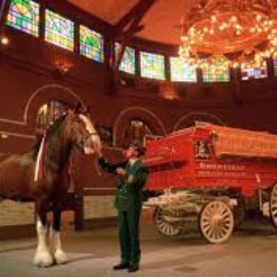 Anheuser-Busch Brewery Tours & Gifts