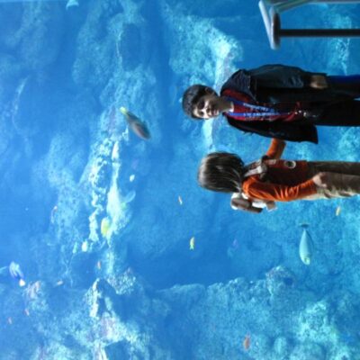 Academy of Science