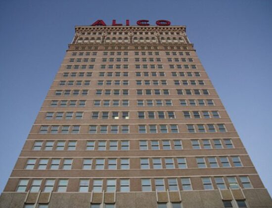 Alico