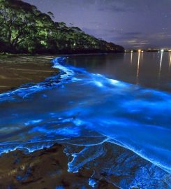 Maldives Beach