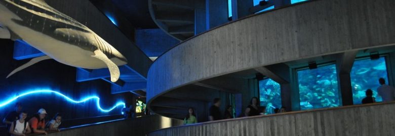 New England Aquarium