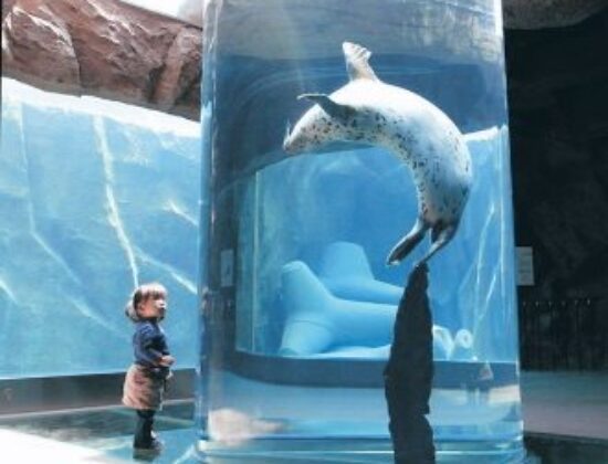 Asahiyama Zoo
