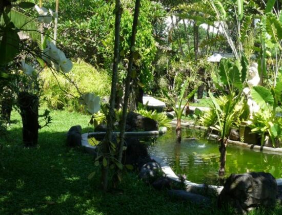 Bali Orchid Garden