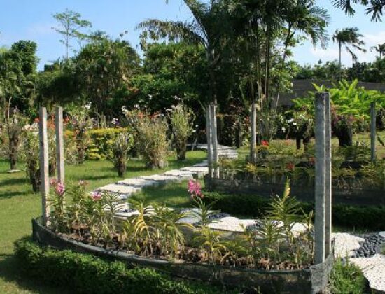 Bali Orchid Garden