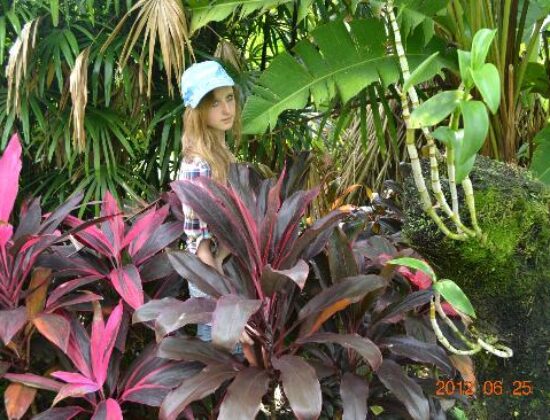 Bali Orchid Garden