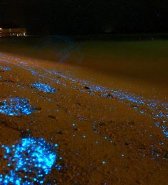 Maldives Beach