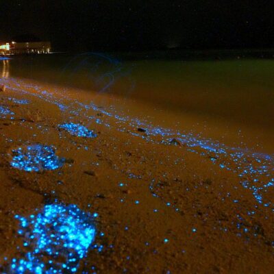 Maldives Beach