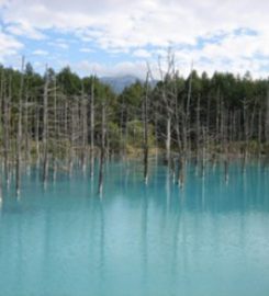 The Blue Pond