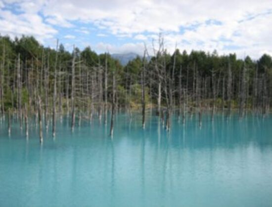 The Blue Pond