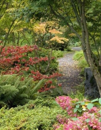 Bellevue Botanical Gardens