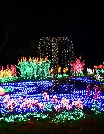 Bellevue Botanical Gardens