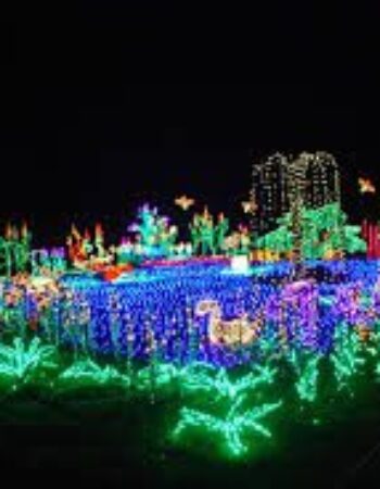 Bellevue Botanical Gardens