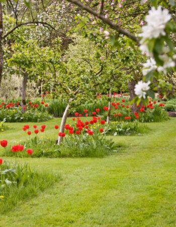 Bellevue Botanical Gardens
